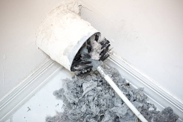 Best Emergency Air Duct Cleaning  in Fife, WA